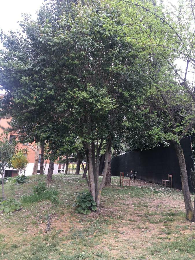 Tra S.Orsola E Fiera Apartment Bologna Luaran gambar